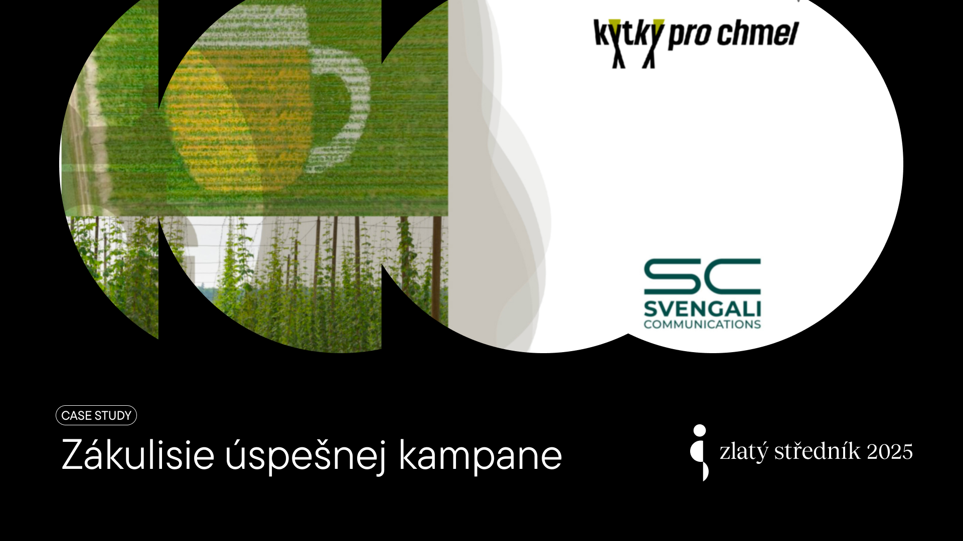 ZS Zákulisí KPCH horizont SK.jpg